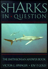 Sharks In Question