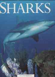 Sharks: Edited By John Stevens